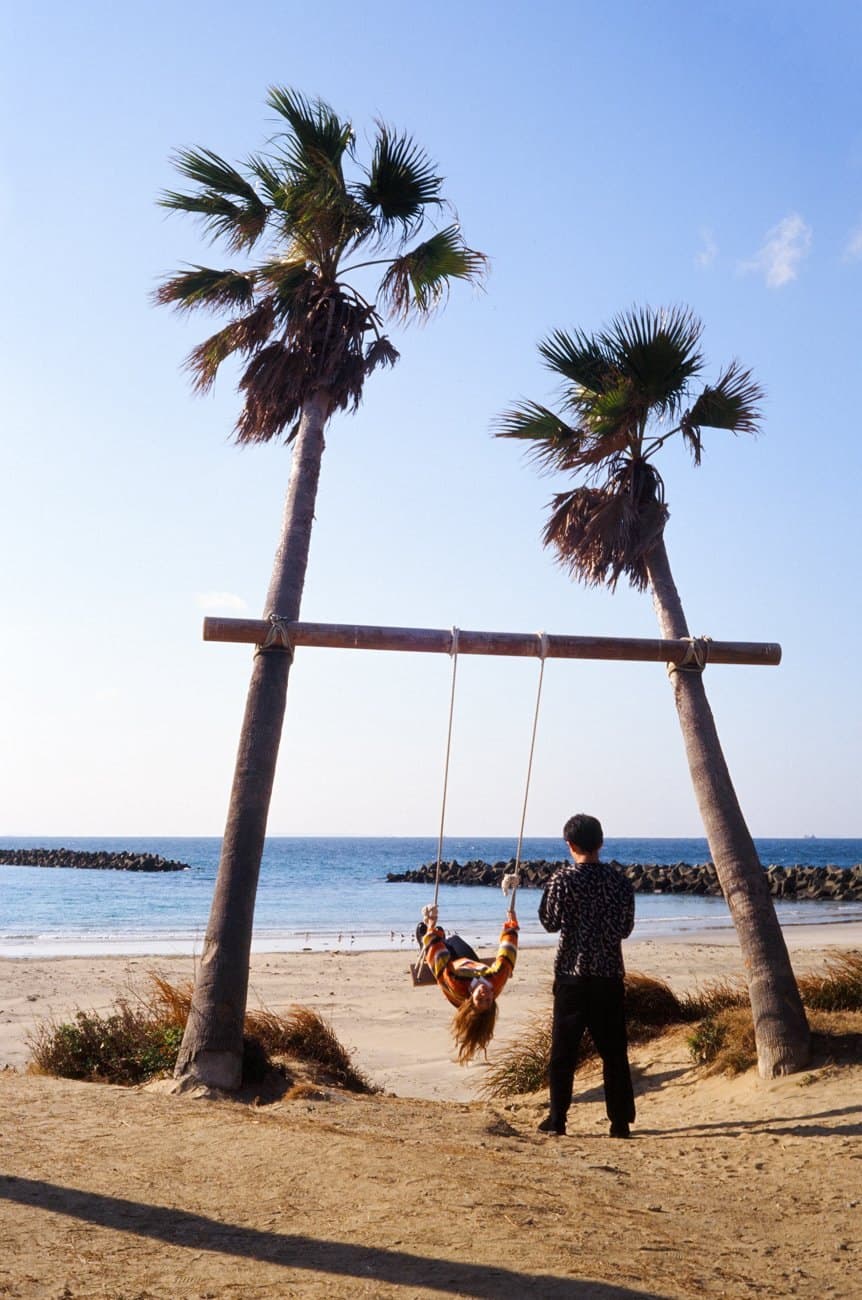 A rope swing hung between two palm trees on a beach